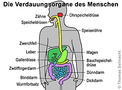 Bild vergrößern!