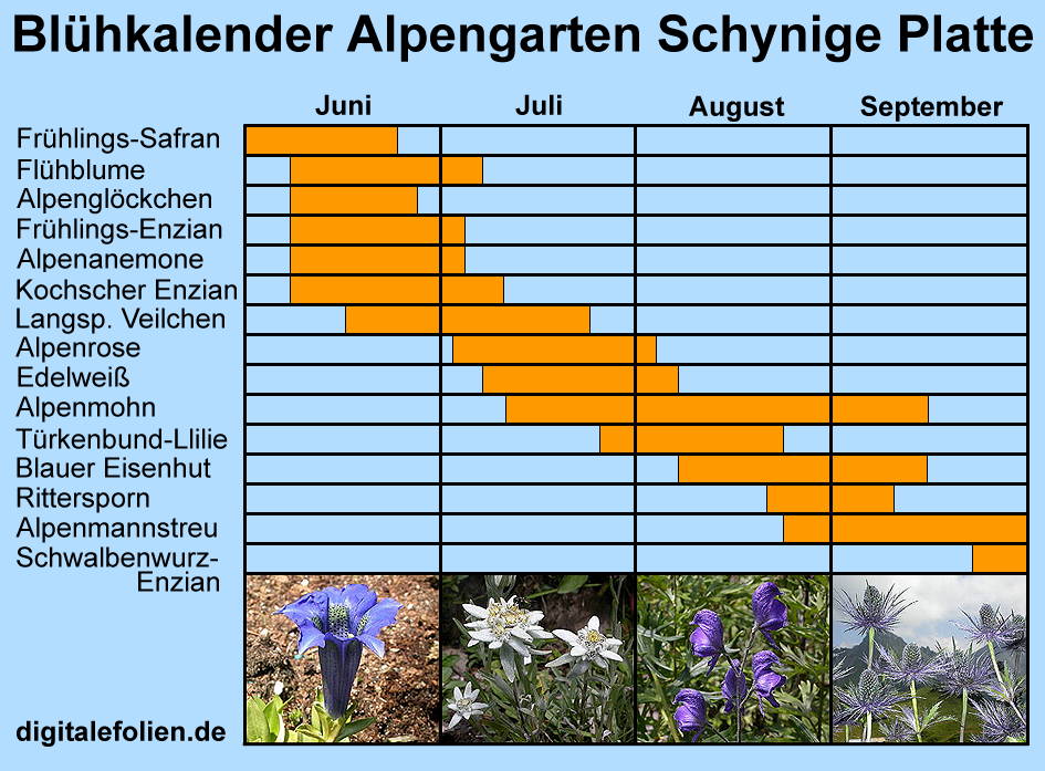Blühkalender