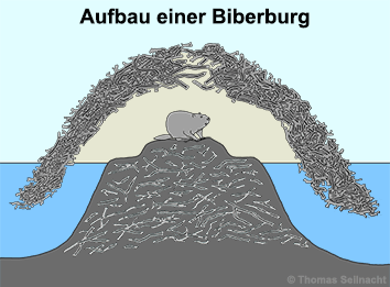 Bild vergrößern!