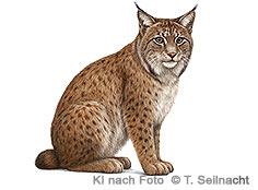 Bild vergr&ouml;&szlig;ern!