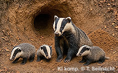 Bild vergr&ouml;&szlig;ern!