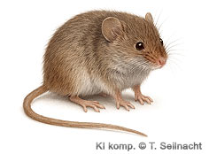 Bild vergr&ouml;&szlig;ern!