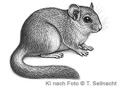 Bild vergr&ouml;&szlig;ern!