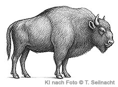 Bild vergr&ouml;&szlig;ern!