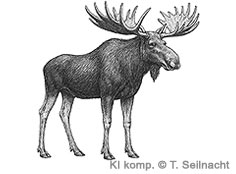 Bild vergr&ouml;&szlig;ern!