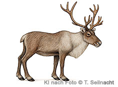 Bild vergr&ouml;&szlig;ern!