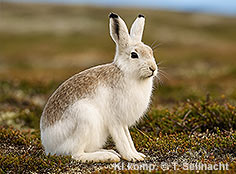 Bild vergr&ouml;&szlig;ern!