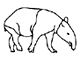 Schabrackentapir