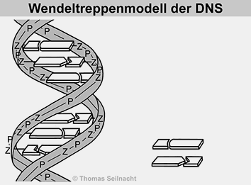 Bild vergrößern!