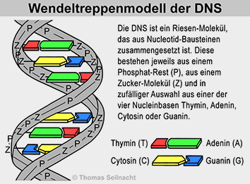 Bild vergrößern!