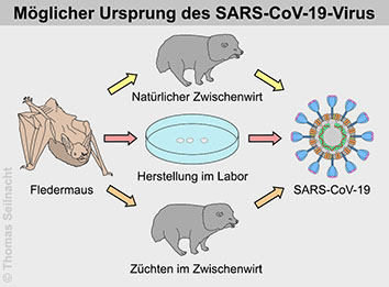 Bild vergrern!