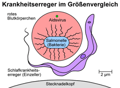 Bild vergrößern!