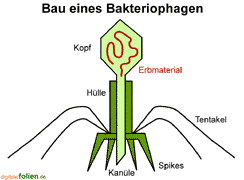 Bild vergrößern!