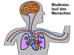 Bild vergrößern!