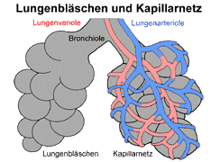 Bild vergrößern!