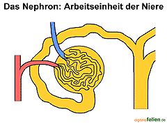 Bild vergrößern!