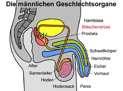 Bild vergrößern!