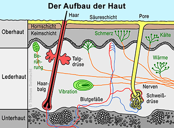 Bild vergrößern!