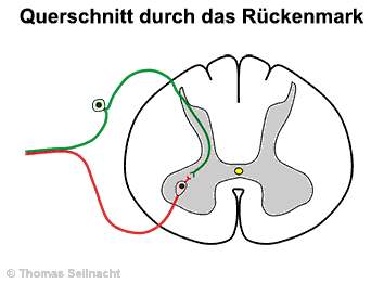 Bild vergrößern!