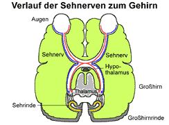 Bild vergrößern!