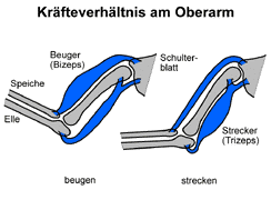 Bild vergrößern!