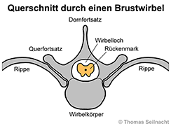 Bild vergrößern!