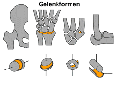 Bild vergrößern!