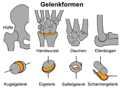 Bild vergrößern!