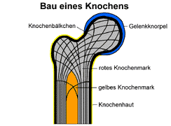 Bild vergrößern!