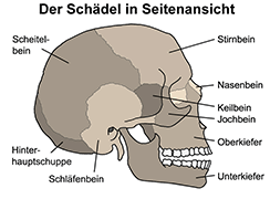 Bild vergrößern!