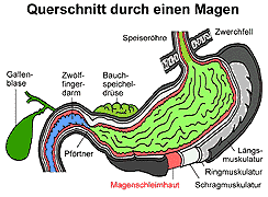 Bild vergrößern!