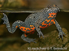 Bild vergr&ouml;&szlig;ern!