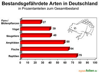 Bild vergrößern!