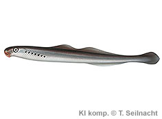 Bild vergr&ouml;&szlig;ern!