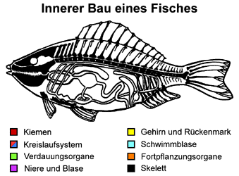 Bild vergrößern!