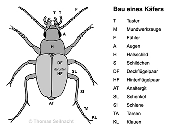 Bild vergrößern!