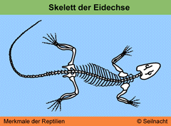 Bild vergrößern!