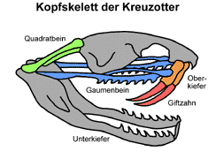 Bild vergrößern!