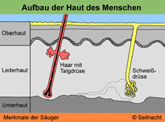 Bild vergrößern!