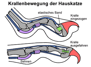 Bild vergrößern!