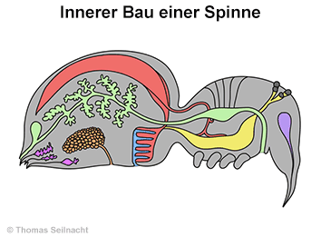 Bild vergrößern!