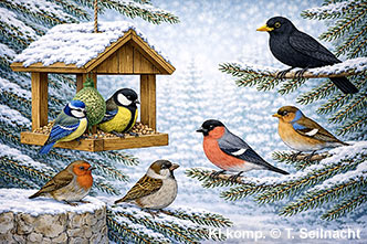 Bild vergr&ouml;&szlig;ern!