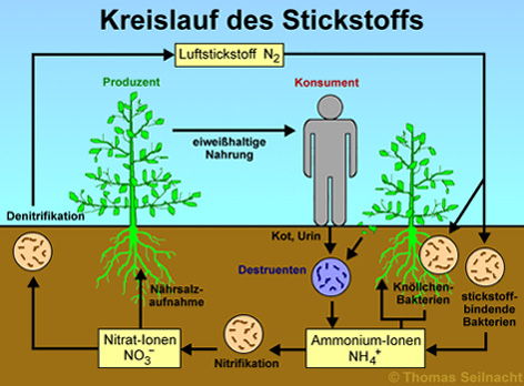 Bild vergrößern!