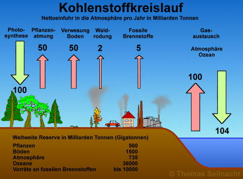 Bild vergrößern!