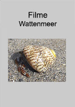 Filme zum Wattenmeer